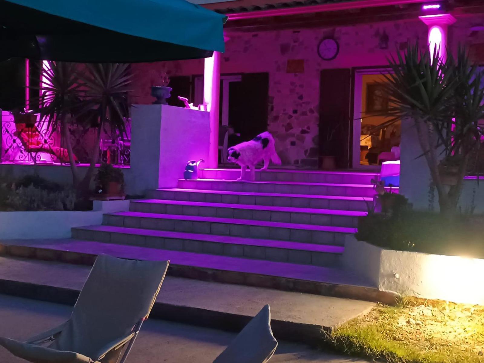 Villamassargia Orange Ville المظهر الخارجي الصورة