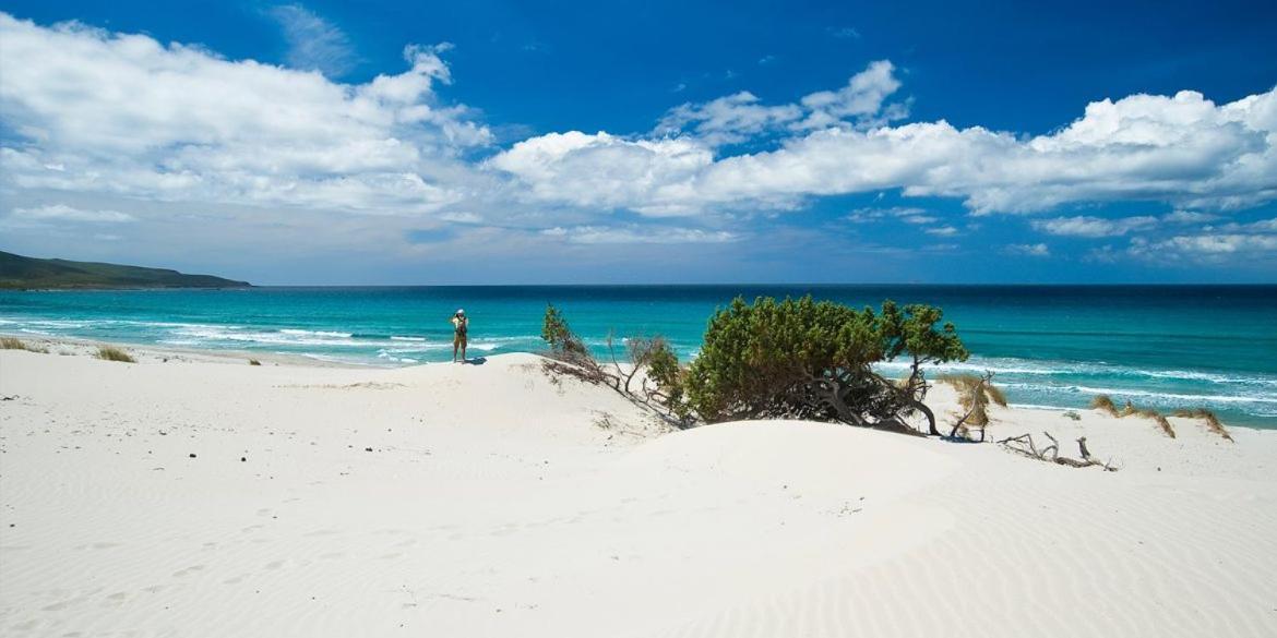 Villamassargia Orange Ville المظهر الخارجي الصورة